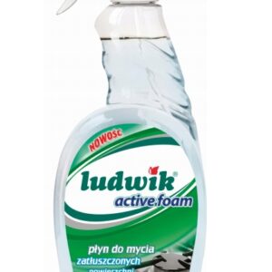 LUDWIK DO TŁUSTYCH POWIERZCHNI POMPKA 750 ML