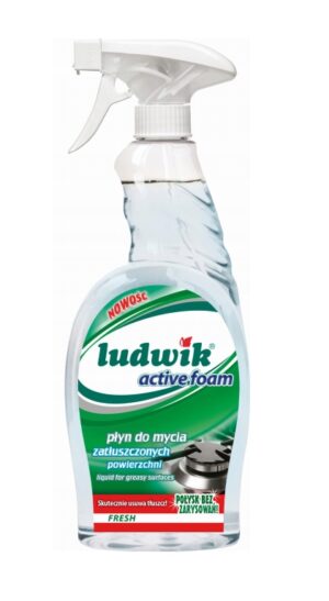 LUDWIK DO TŁUSTYCH POWIERZCHNI POMPKA 750 ML